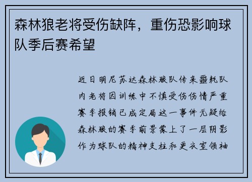 森林狼老将受伤缺阵，重伤恐影响球队季后赛希望