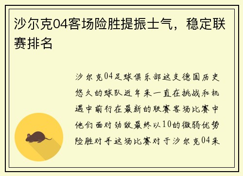 沙尔克04客场险胜提振士气，稳定联赛排名
